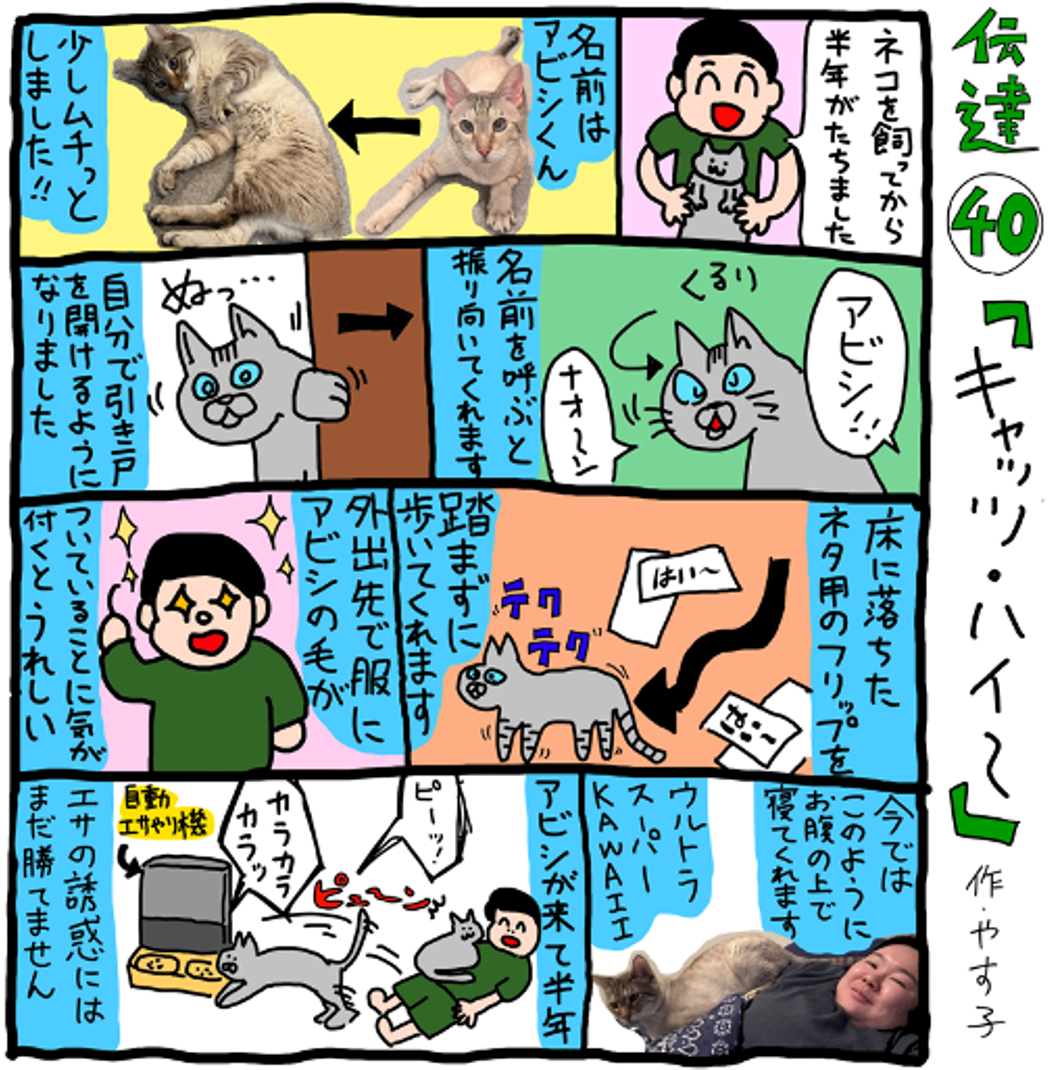やす子】伝達㊵「キャッツ・ハイ〜」 | JUNON TV
