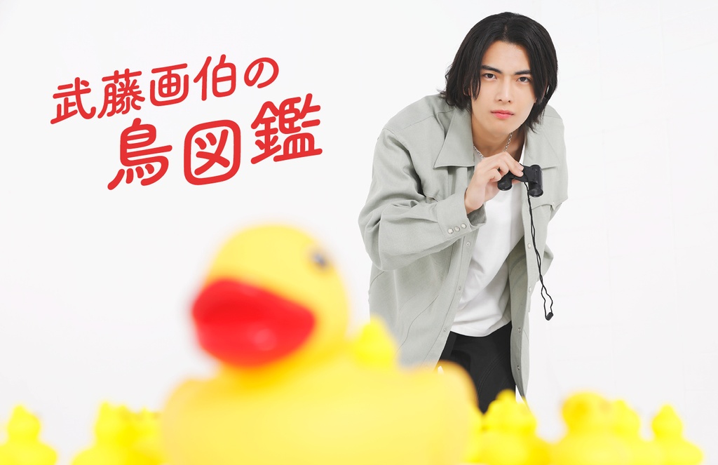 武藤画伯の鳥図鑑の２