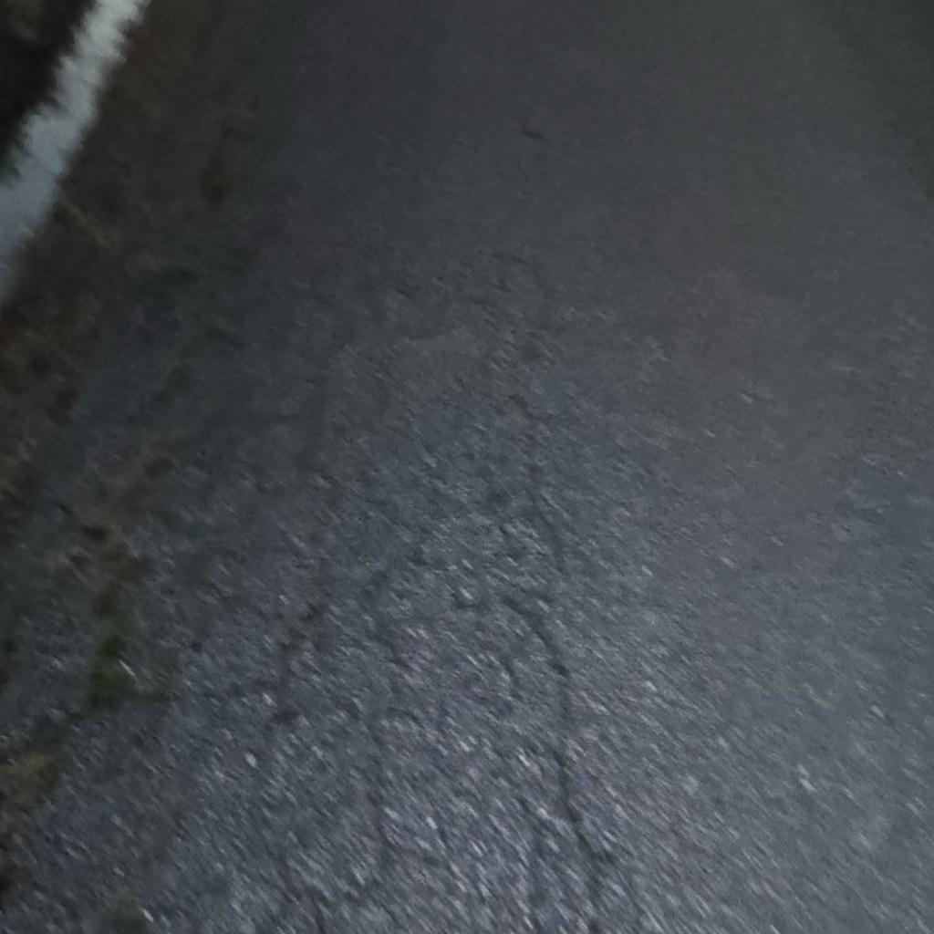 上田 愛翔
