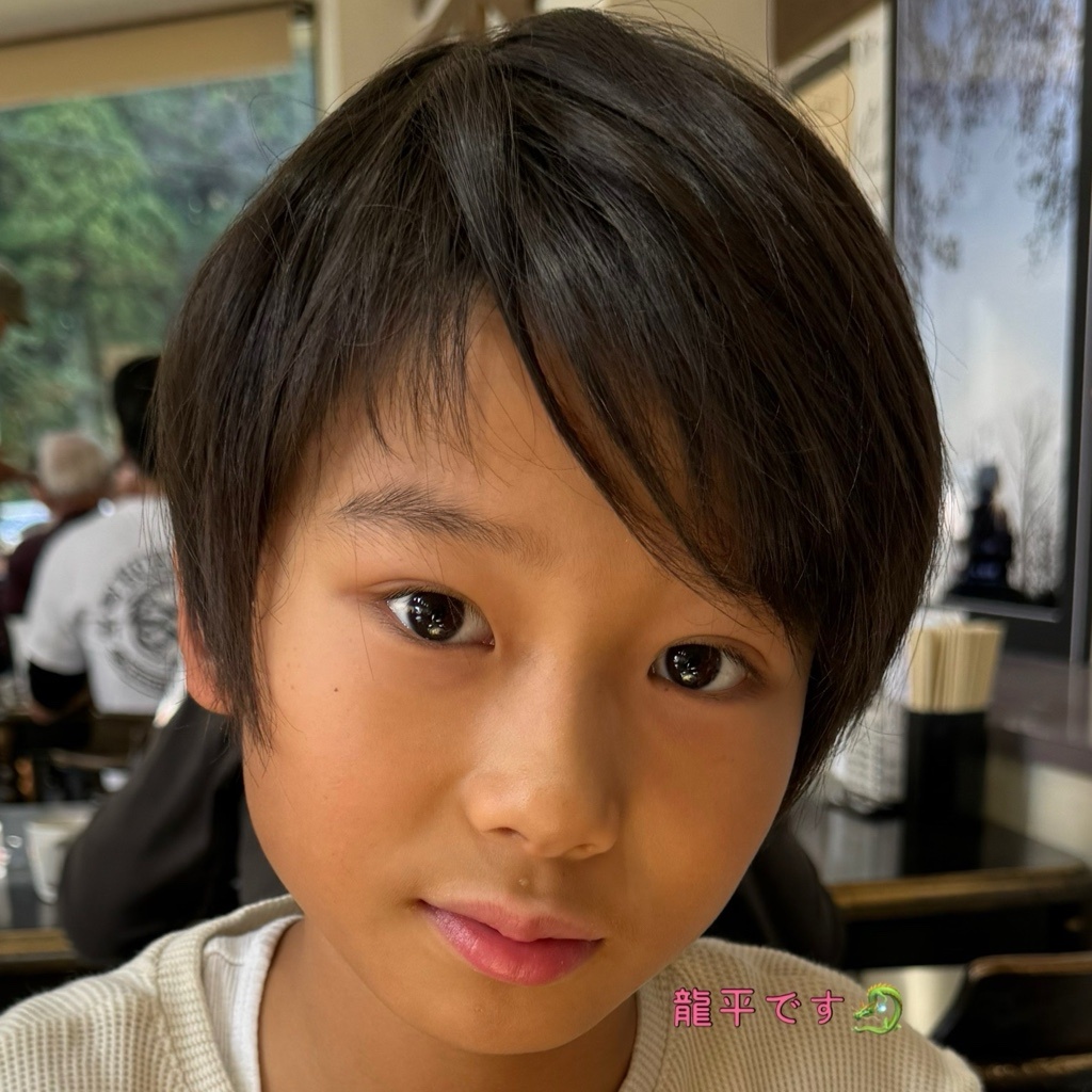 向田龍平