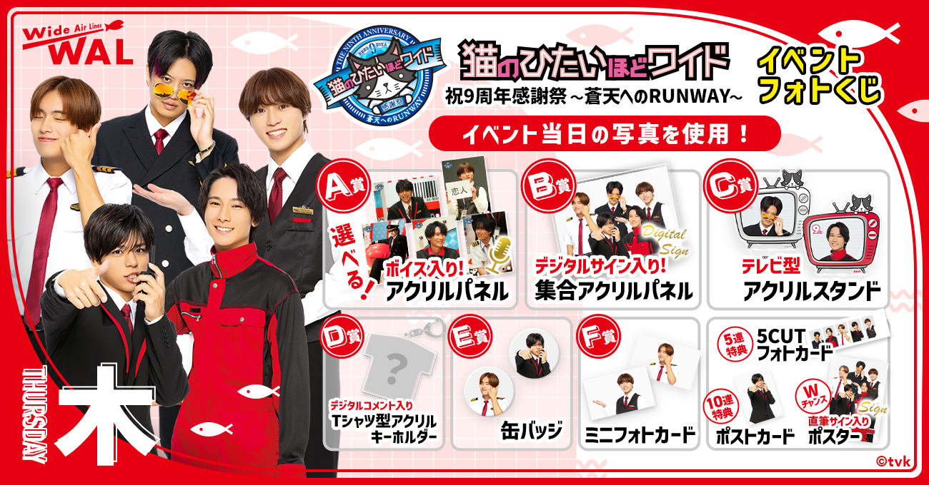 猫のひたいほどワイド グッズ 公式通販 祝10周年感謝祭 ～君を誘う