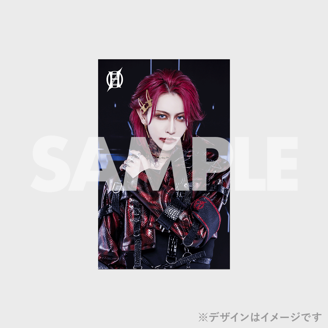 零[Hz] ROY チェキ 12枚 零[Hz] ラッフルくじ・チェキ 零[Hz] Rio