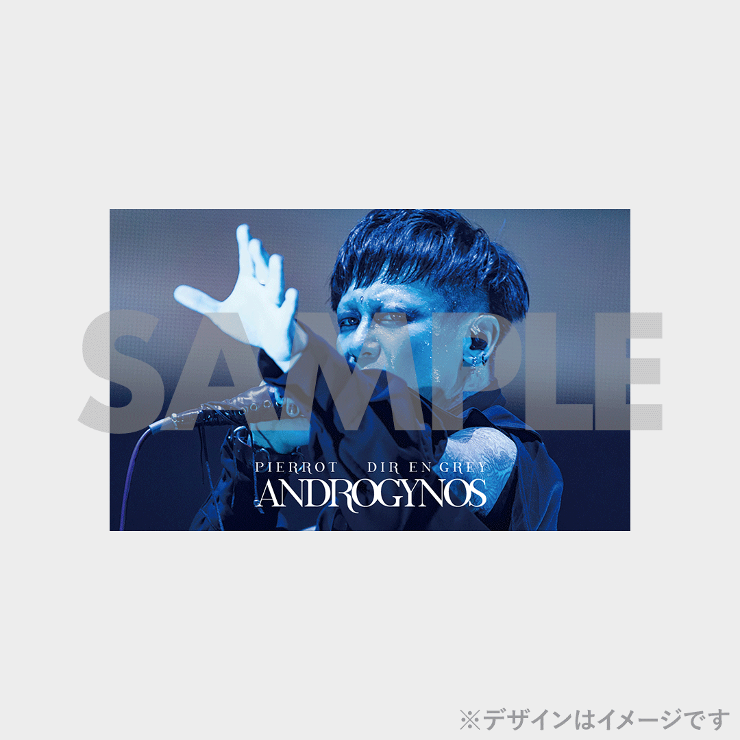DIR EN GREY】ANDROGYNOS - THE FINAL WAR -開催記念ラッフル DIR EN GREY】ANDROGYNOS - THE FINAL WAR -開催記念ラッフル