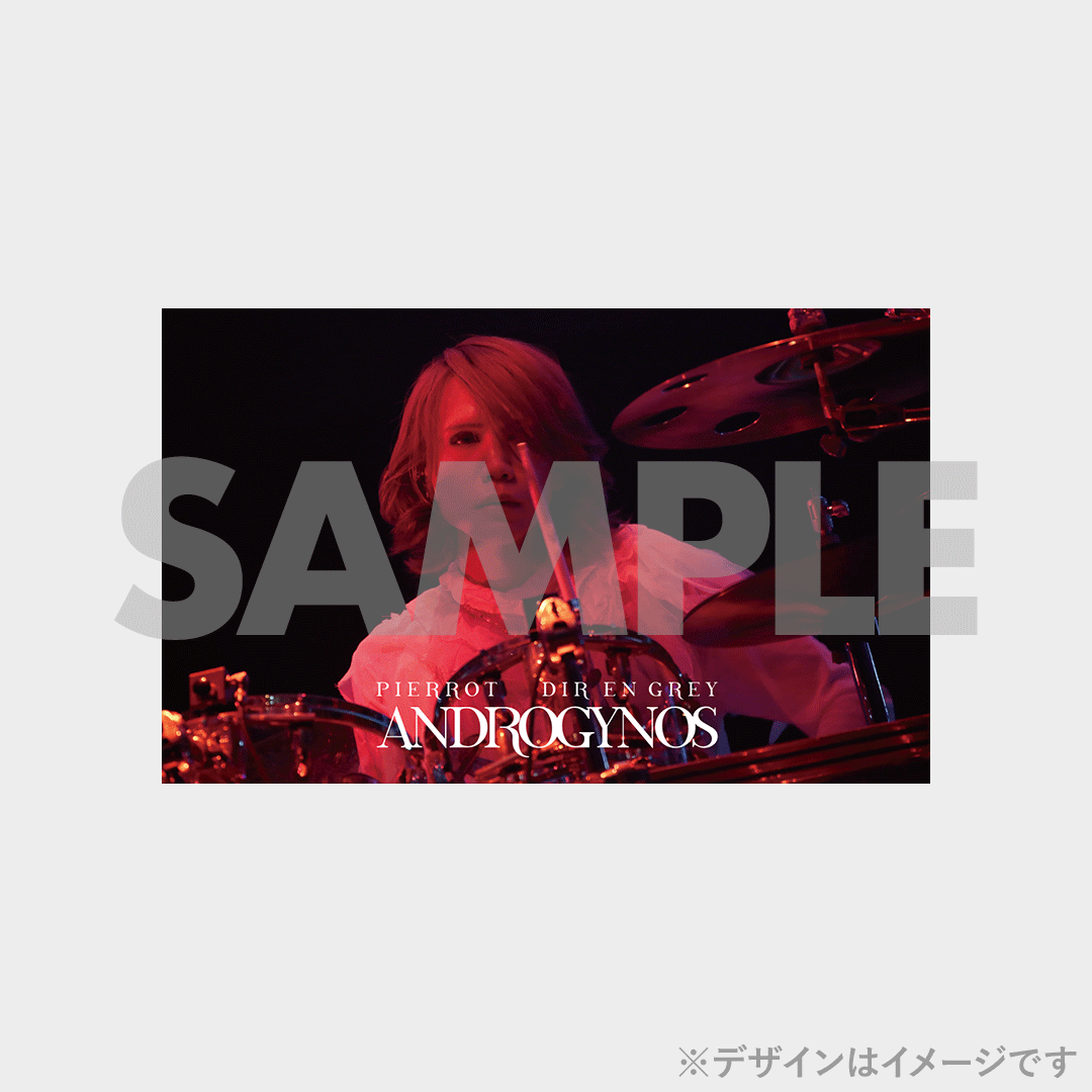 DIR EN GREY】ANDROGYNOS - THE FINAL WAR -開催記念ラッフル DIR EN GREY】ANDROGYNOS - THE FINAL WAR -開催記念ラッフル