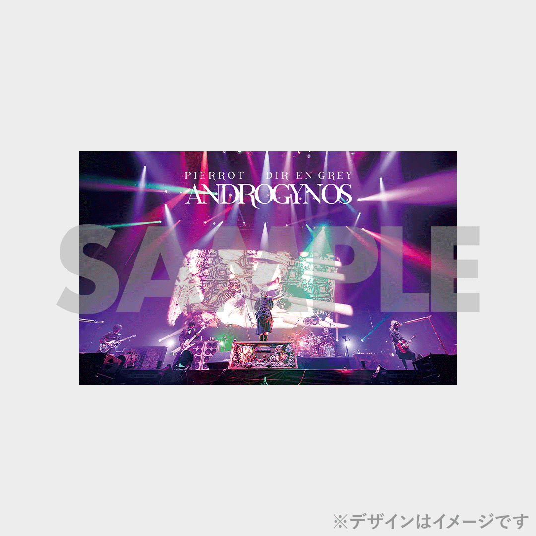 DIR EN GREY】ANDROGYNOS - THE FINAL WAR -開催記念ラッフル DIR EN GREY】ANDROGYNOS - THE FINAL WAR -開催記念ラッフル
