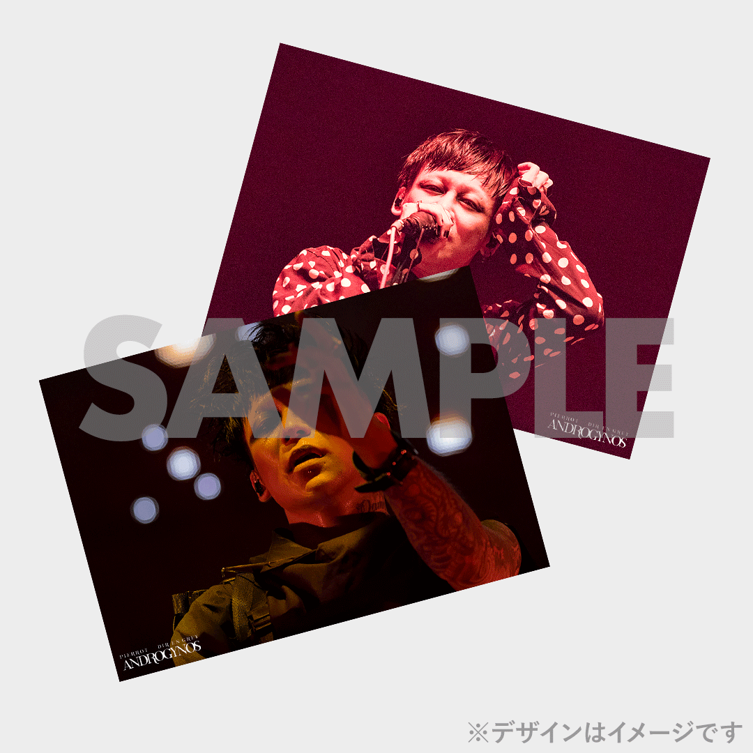 DIR EN GREY】ANDROGYNOS - THE FINAL WAR -開催記念ラッフル DIR EN GREY】ANDROGYNOS - THE FINAL WAR -開催記念ラッフル