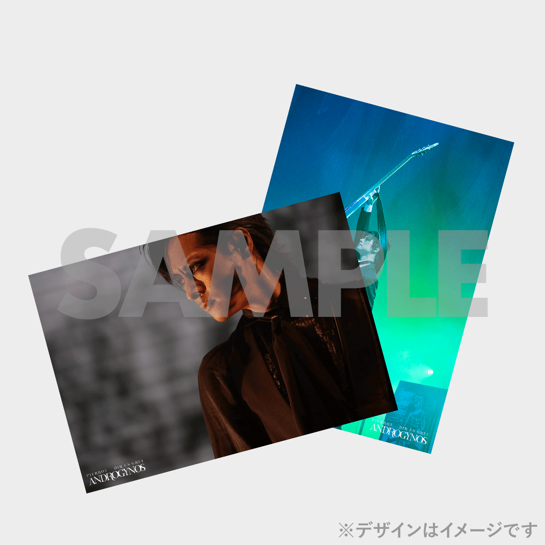 DIR EN GREY】ANDROGYNOS - THE FINAL WAR -開催記念ラッフル DIR EN GREY】ANDROGYNOS - THE FINAL WAR -開催記念ラッフル