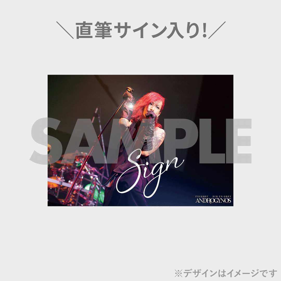 PIERROT】ANDROGYNOS - THE FINAL WAR -開催記念ラッフルくじ PIERROT】ANDROGYNOS - THE FINAL WAR -開催記念ラッフルくじ