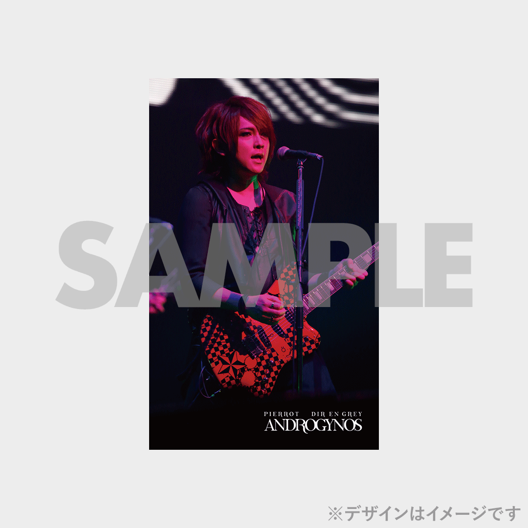 PIERROT】ANDROGYNOS - THE FINAL WAR -開催記念ラッフルくじ PIERROT】ANDROGYNOS - THE FINAL WAR -開催記念ラッフルくじ