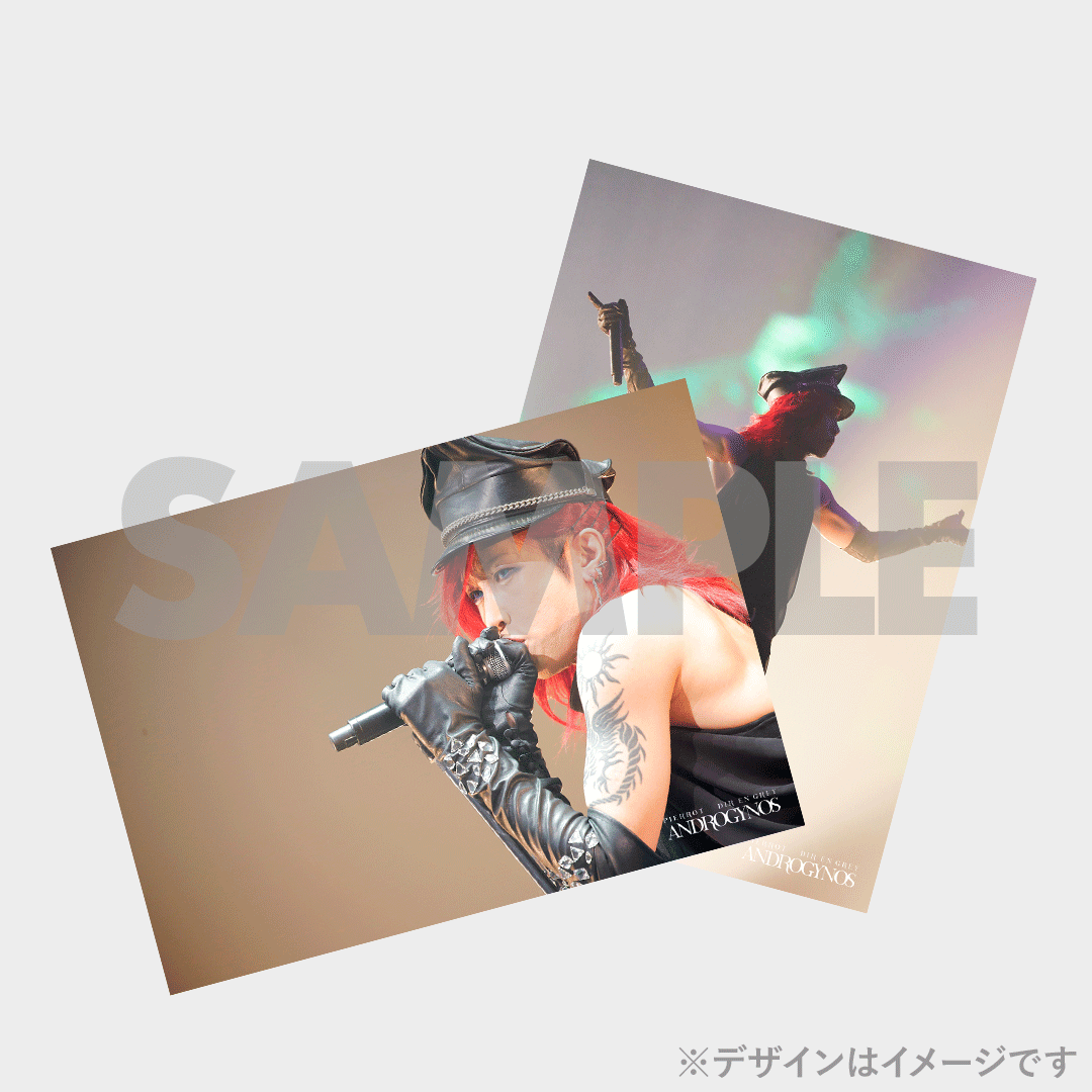 PIERROT】ANDROGYNOS - THE FINAL WAR -開催記念ラッフルくじ PIERROT】ANDROGYNOS - THE FINAL WAR -開催記念ラッフルくじ