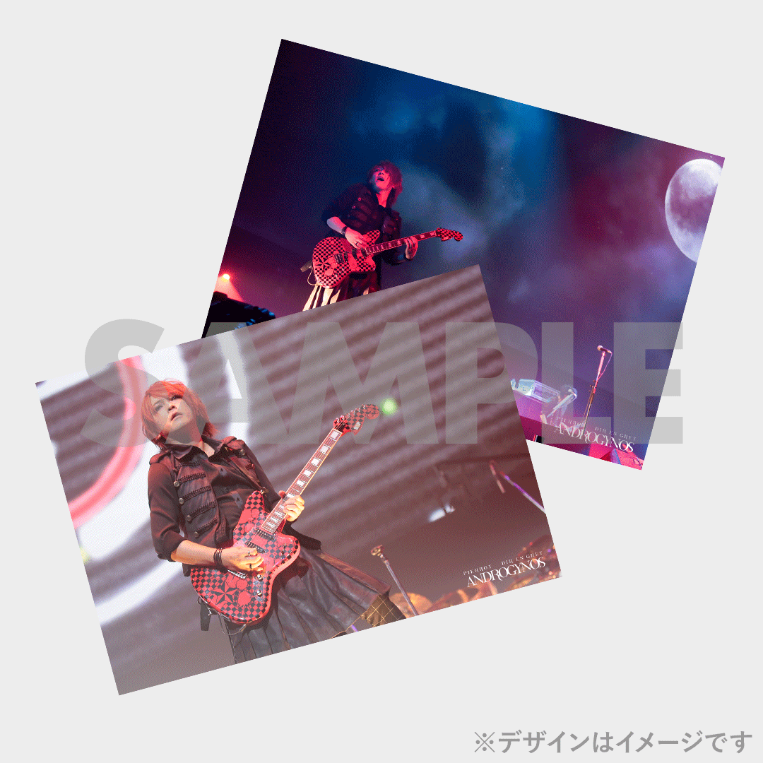 PIERROT】ANDROGYNOS - THE FINAL WAR -開催記念ラッフルくじ PIERROT】ANDROGYNOS - THE FINAL WAR -開催記念ラッフルくじ