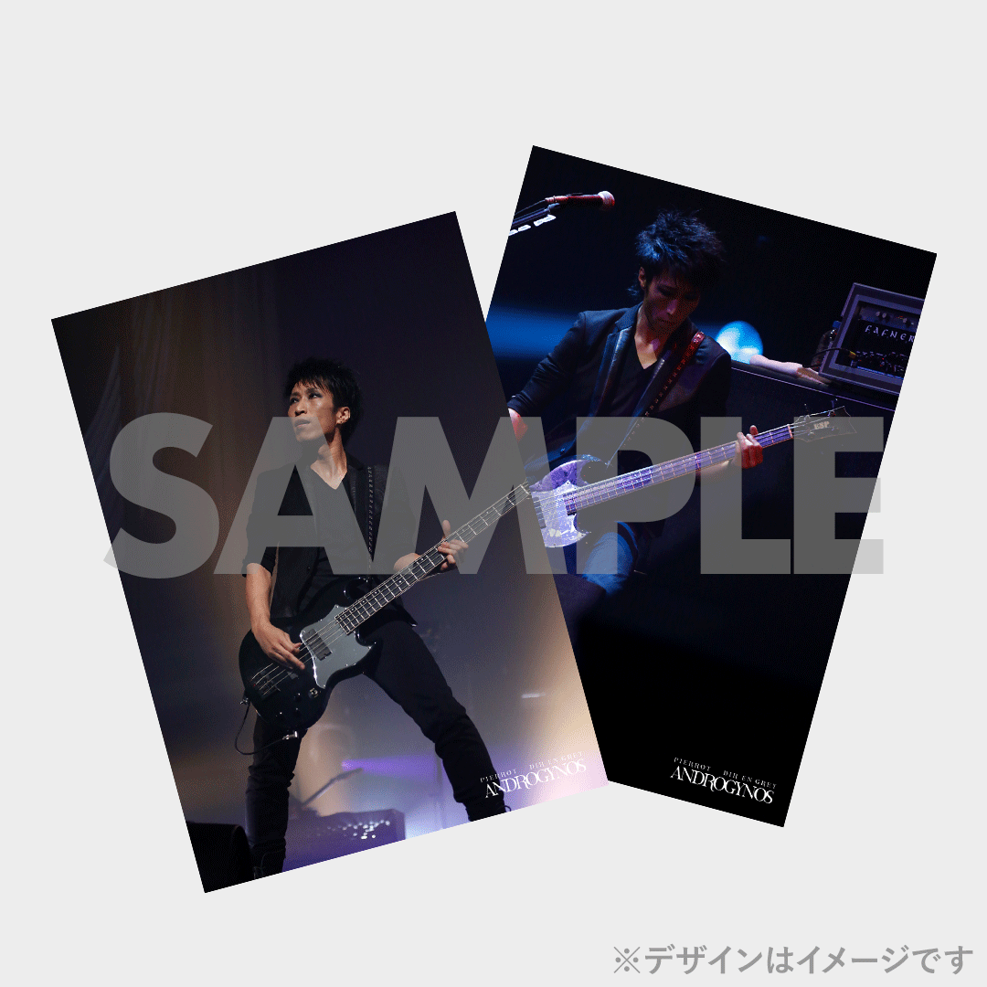 PIERROT】ANDROGYNOS - THE FINAL WAR -開催記念ラッフルくじ PIERROT】ANDROGYNOS - THE FINAL WAR -開催記念ラッフルくじ
