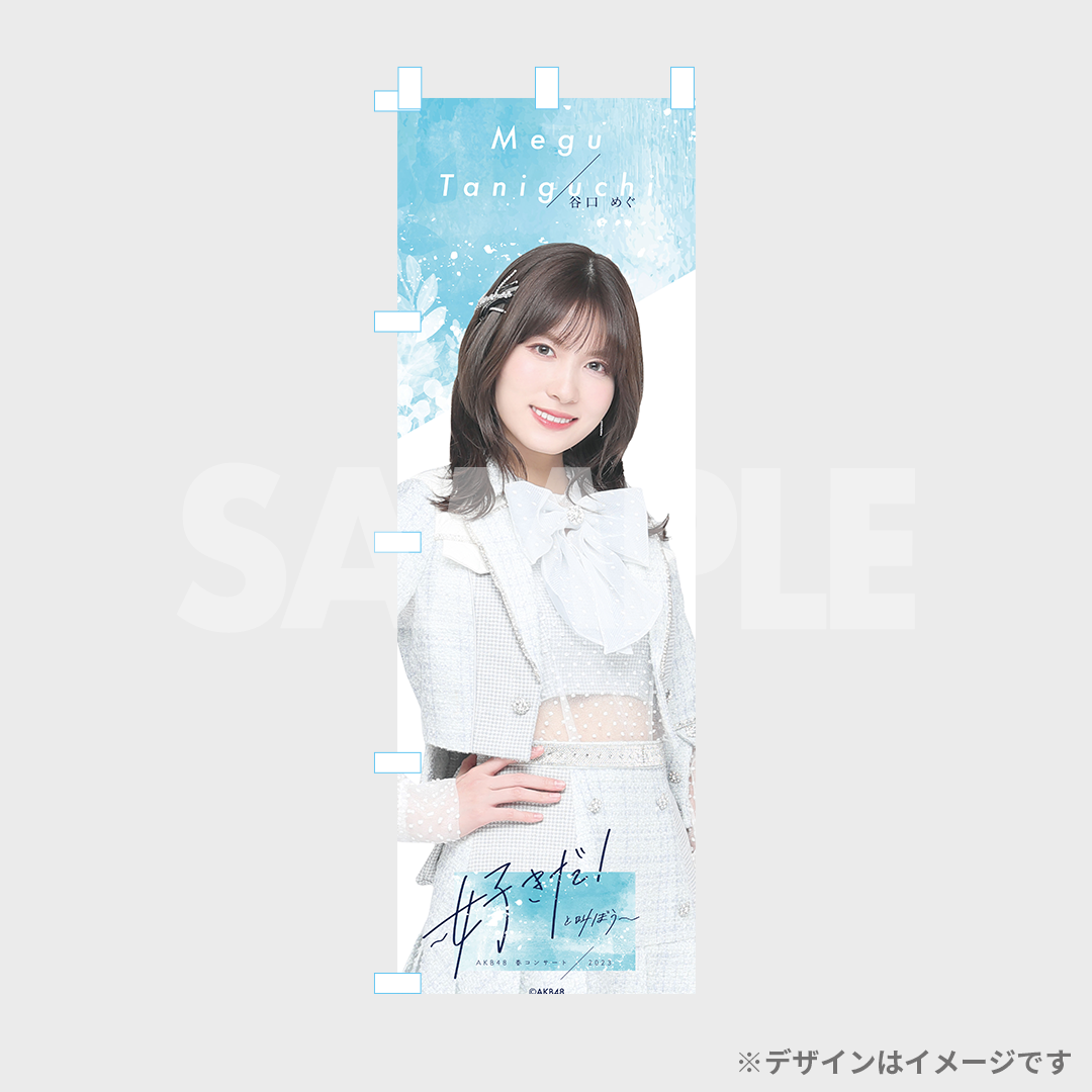 AKB48 春コン ラッフルくじ バラ売り - アイドル