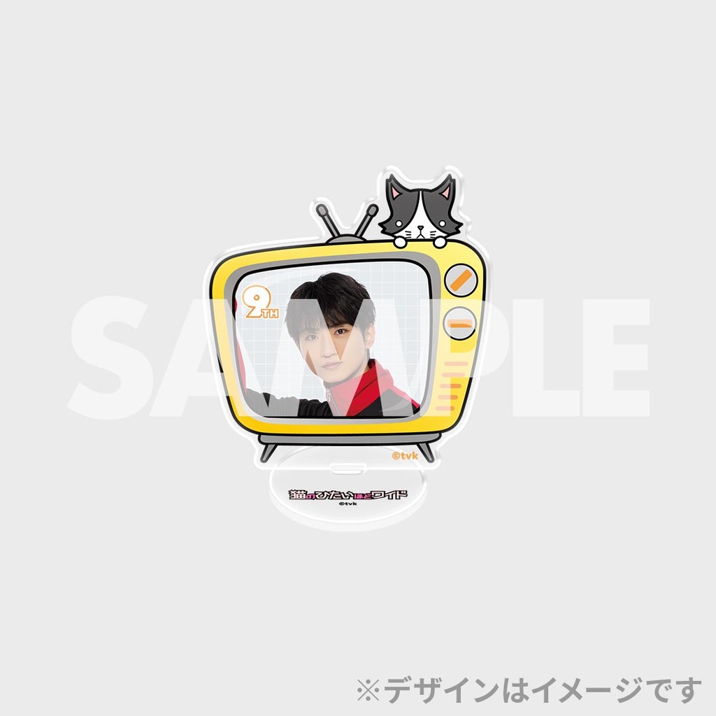 猫のひたいほどワイド 瀧澤翼 購入特典 ミニ フォトシート レア