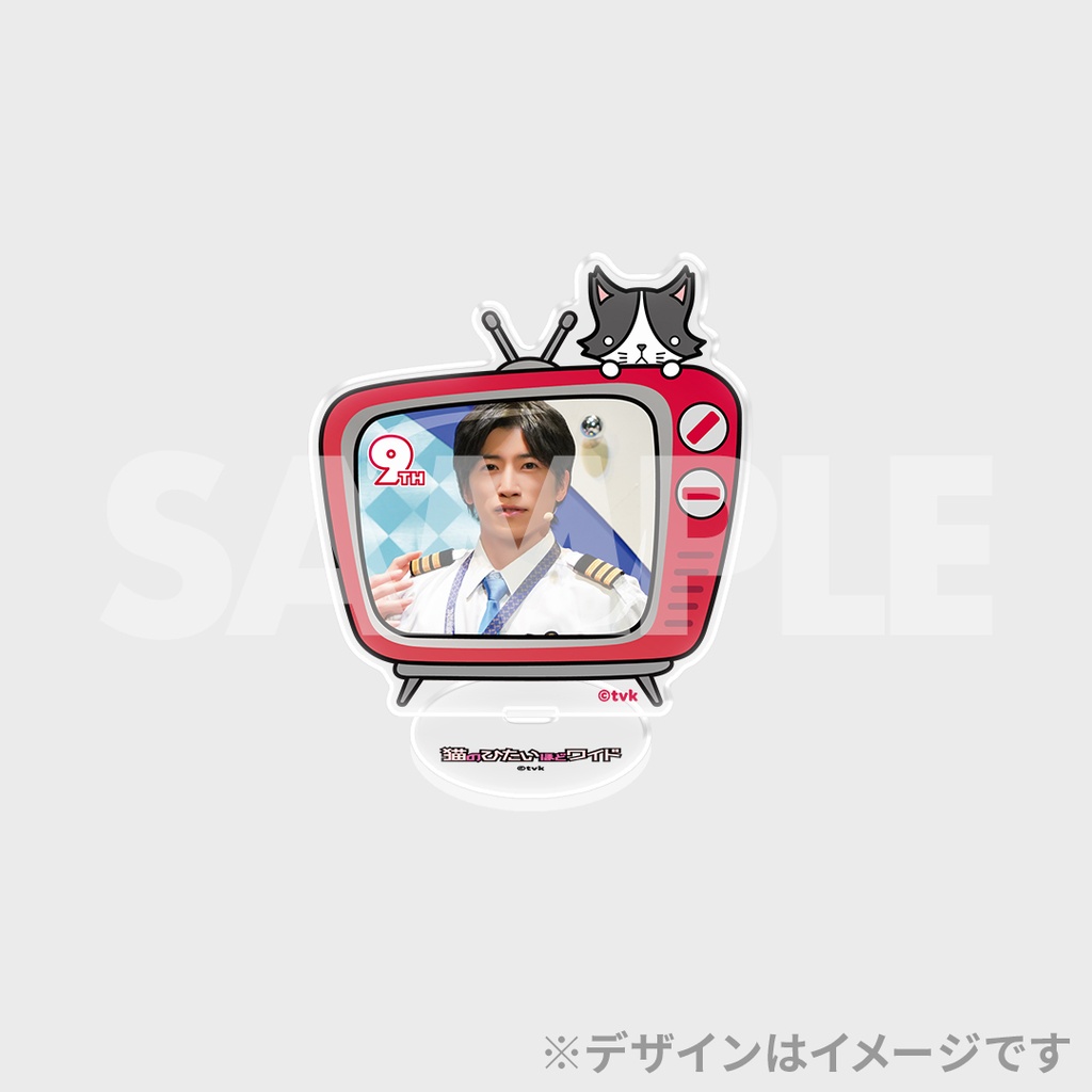 猫のひたいほどワイド グッズ 購入特典 ミニ フォトカード 猫のひたいほどワイド グッズ 特典ミニフォトカード 本物の 猫の