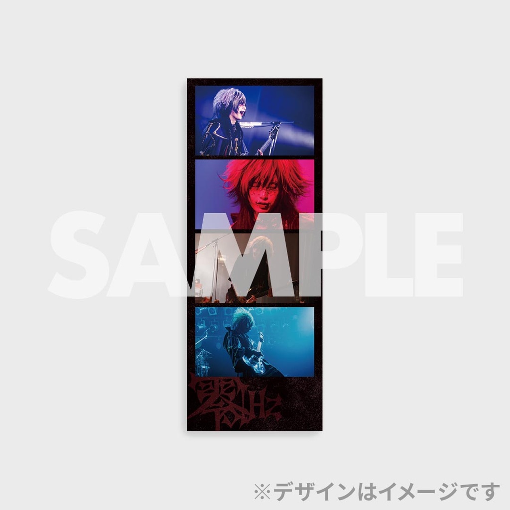 零[Hz] LIVE TOUR 2024「Across to the VANITY PHASE1」開催記念