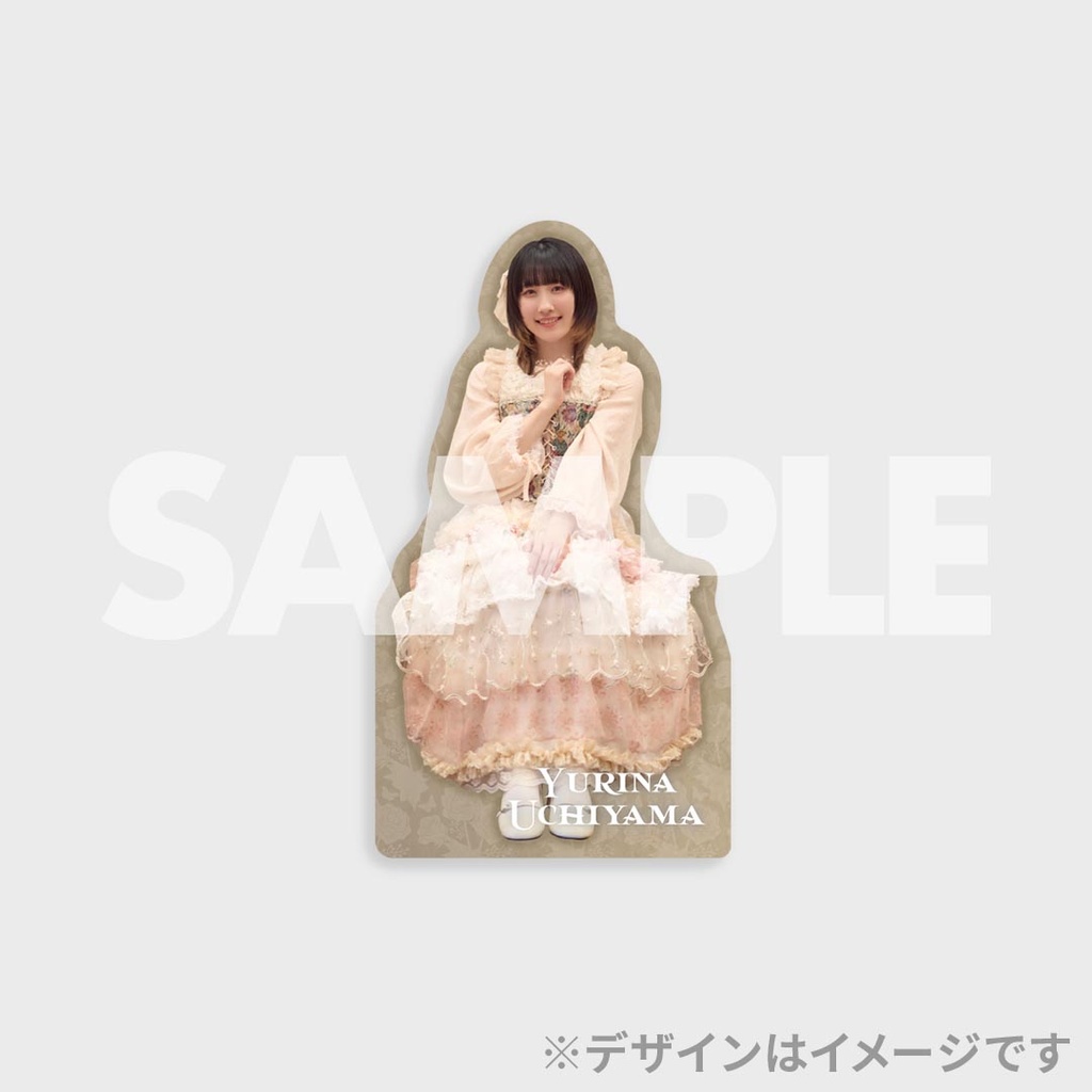 DIALOGUE+ ラッフル　セットB 飯塚麻結 DIALOGUE+ ラッフル セットB 飯塚麻結 DIALOGUE+ 飯塚麻結