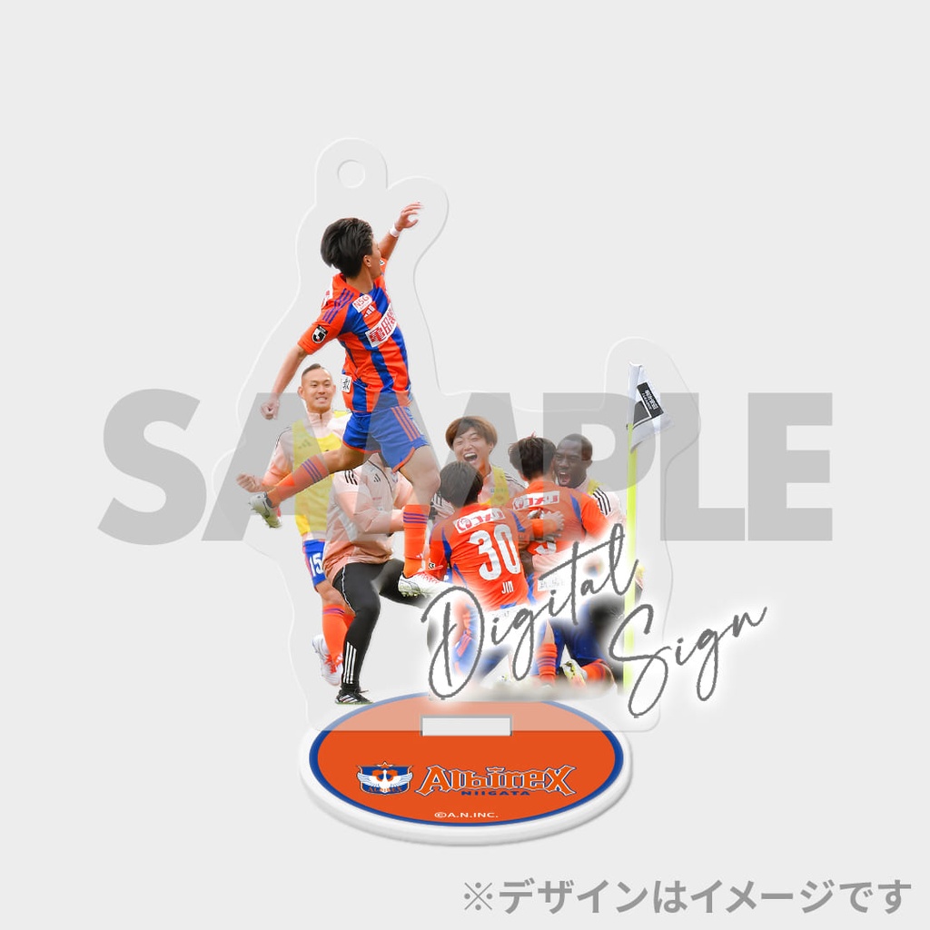 【いちゃんさん専用】アルビレックス新潟 サイン入りクッション　宮本英治 いちゃんさん専用】アルビレックス新潟 サイン入りクッション