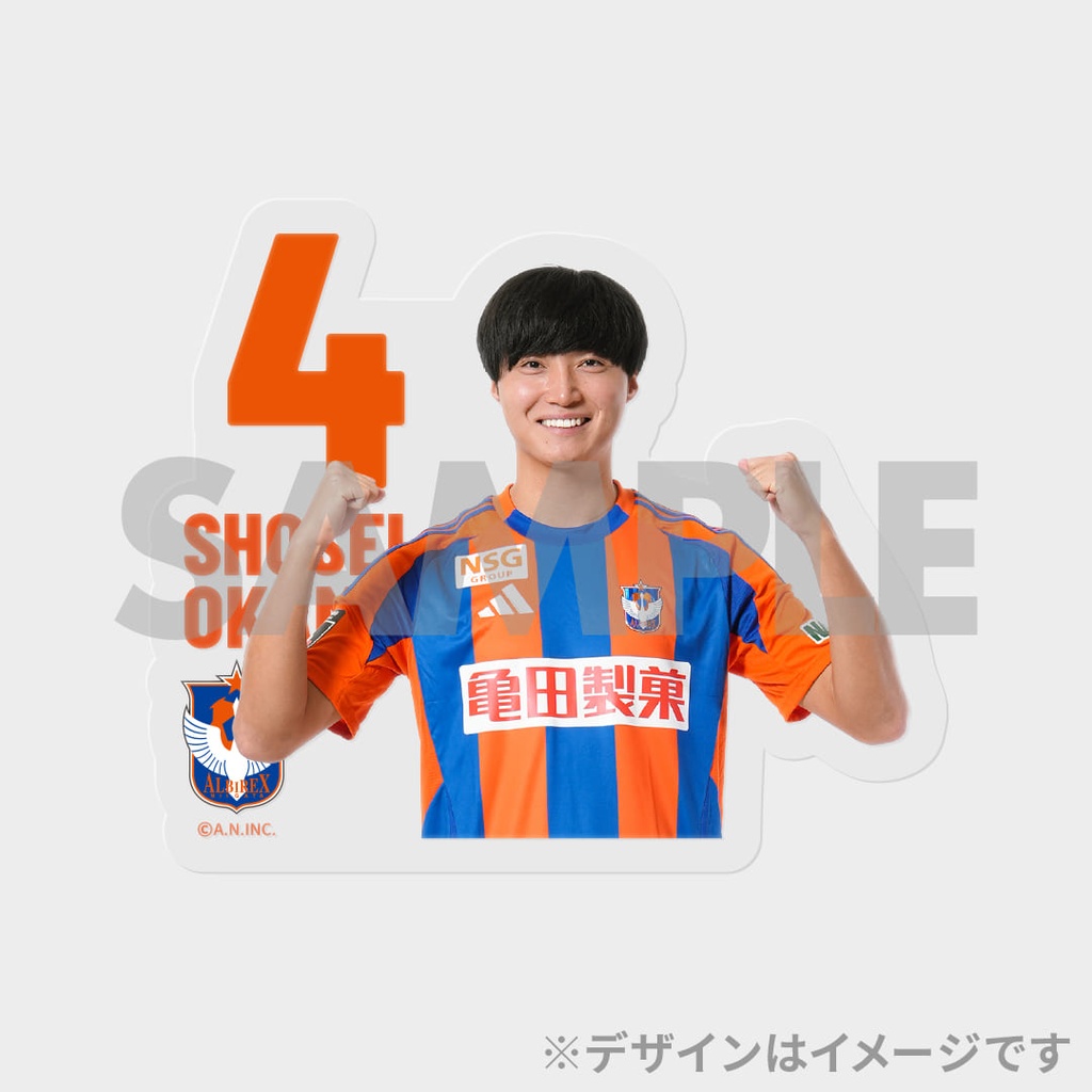 アルビレックス新潟 2025SEASON 上半期試合写真！真夏のラッフル
