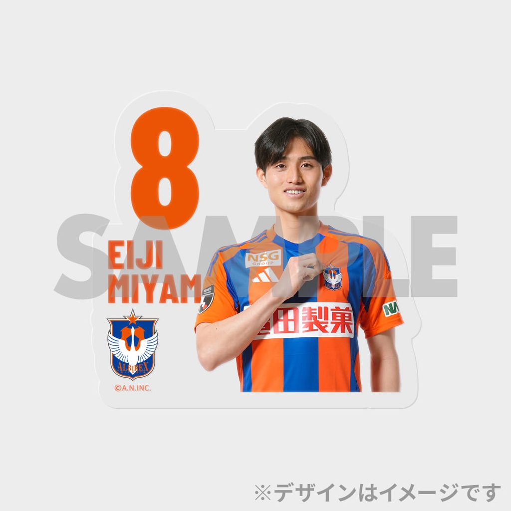 アルビレックス新潟 2025SEASON 上半期試合写真！真夏のラッフル