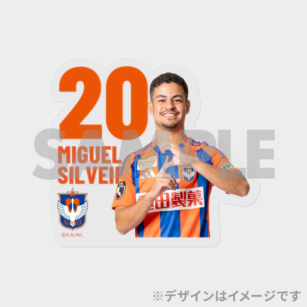 アルビレックス新潟 2025SEASON 上半期試合写真！真夏のラッフル