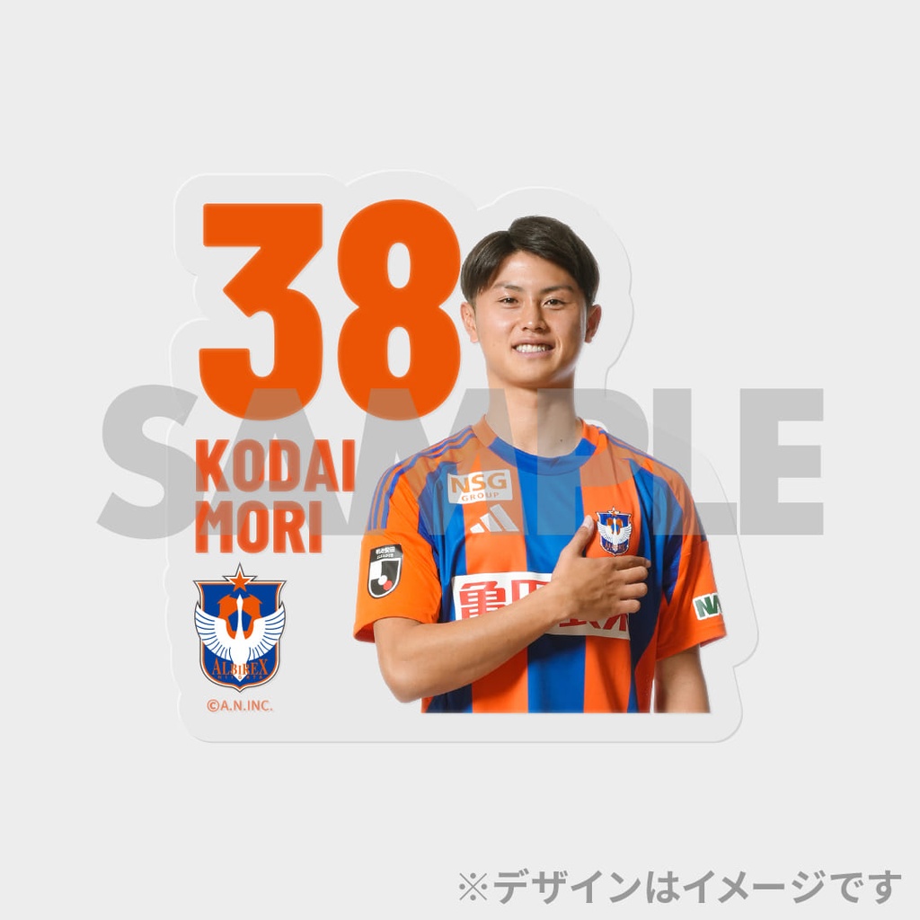 アルビレックス新潟 2025SEASON 上半期試合写真！真夏のラッフル
