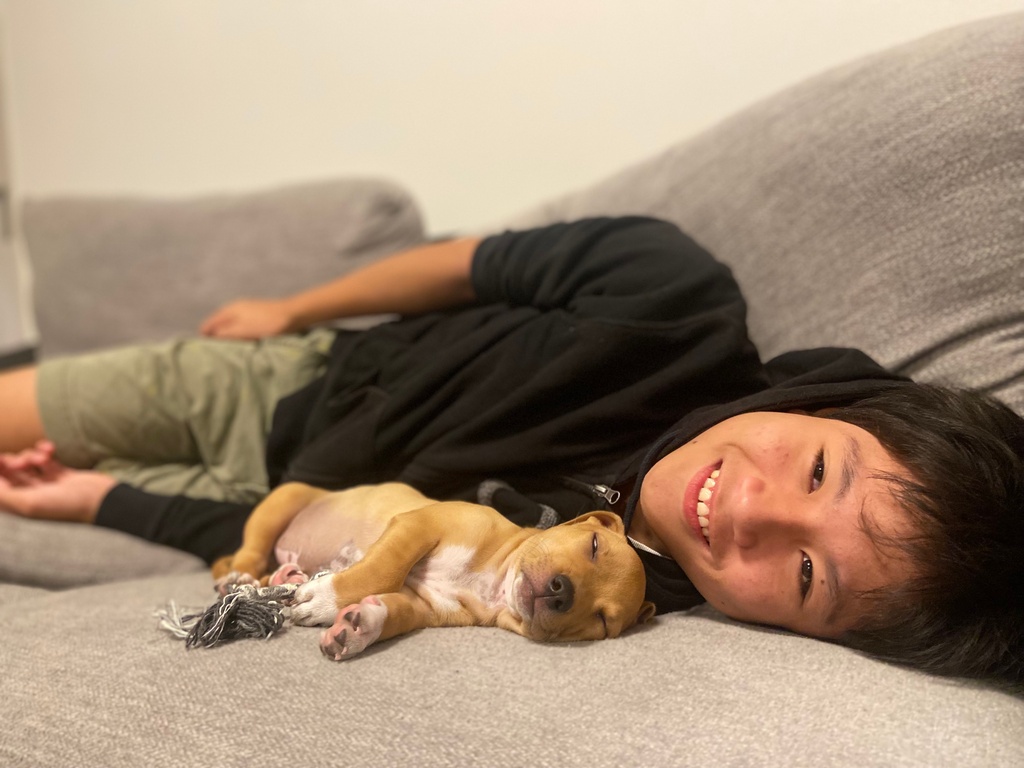 具志堅一世 JUNON TV