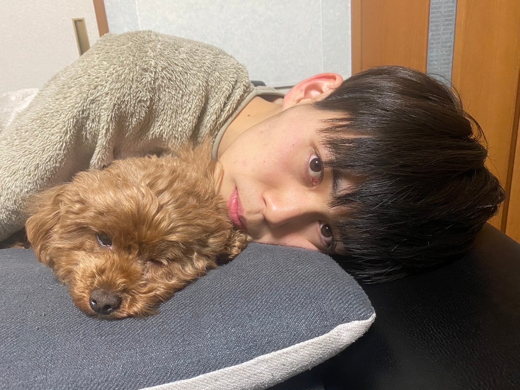 橋本大輝 JUNON TV