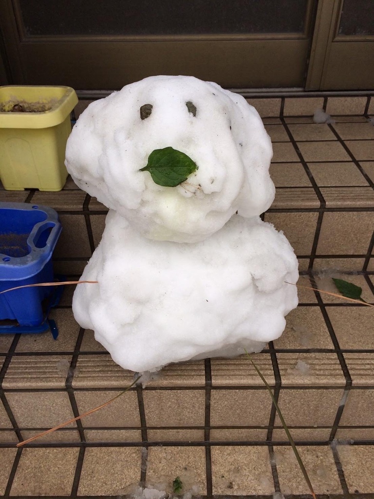 川邊晃輝 JUNON TV