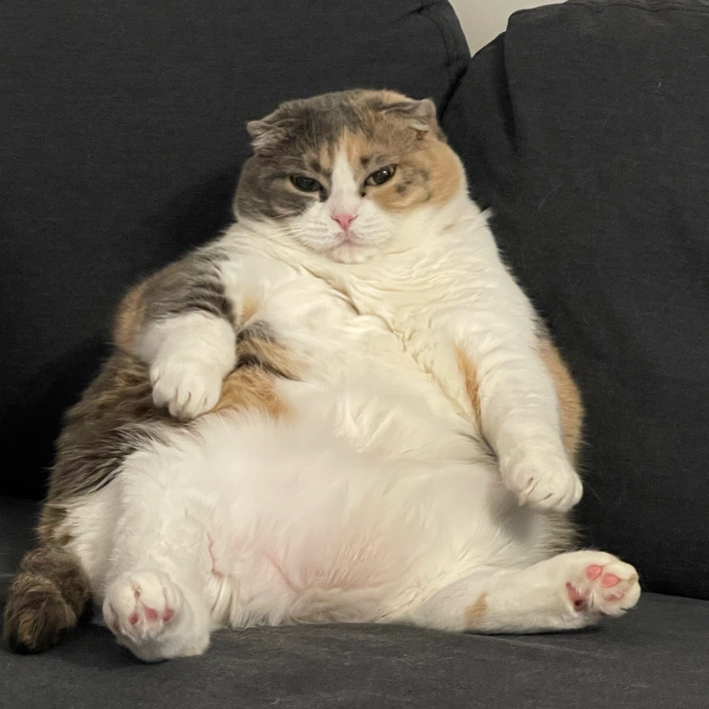 ももちゃんのママ