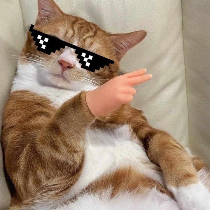 もぴ