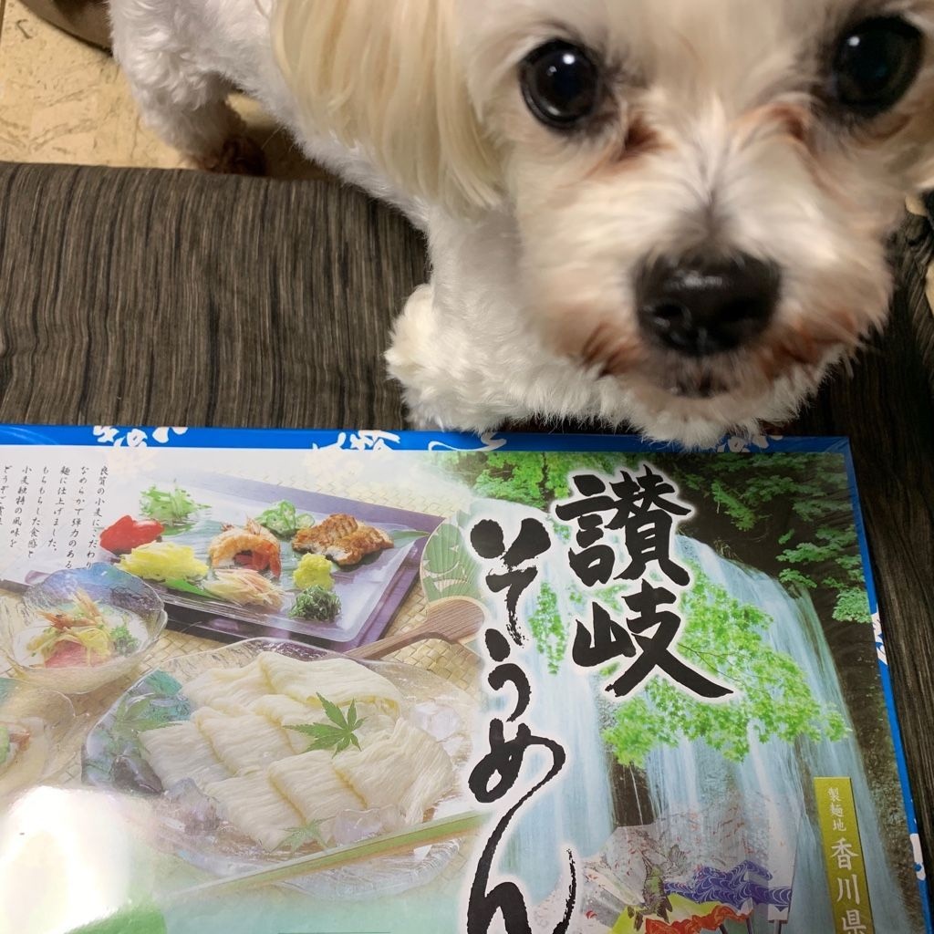 ゆみごん