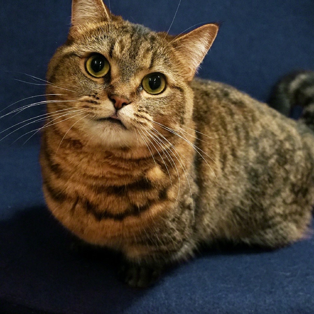 けーちゃん