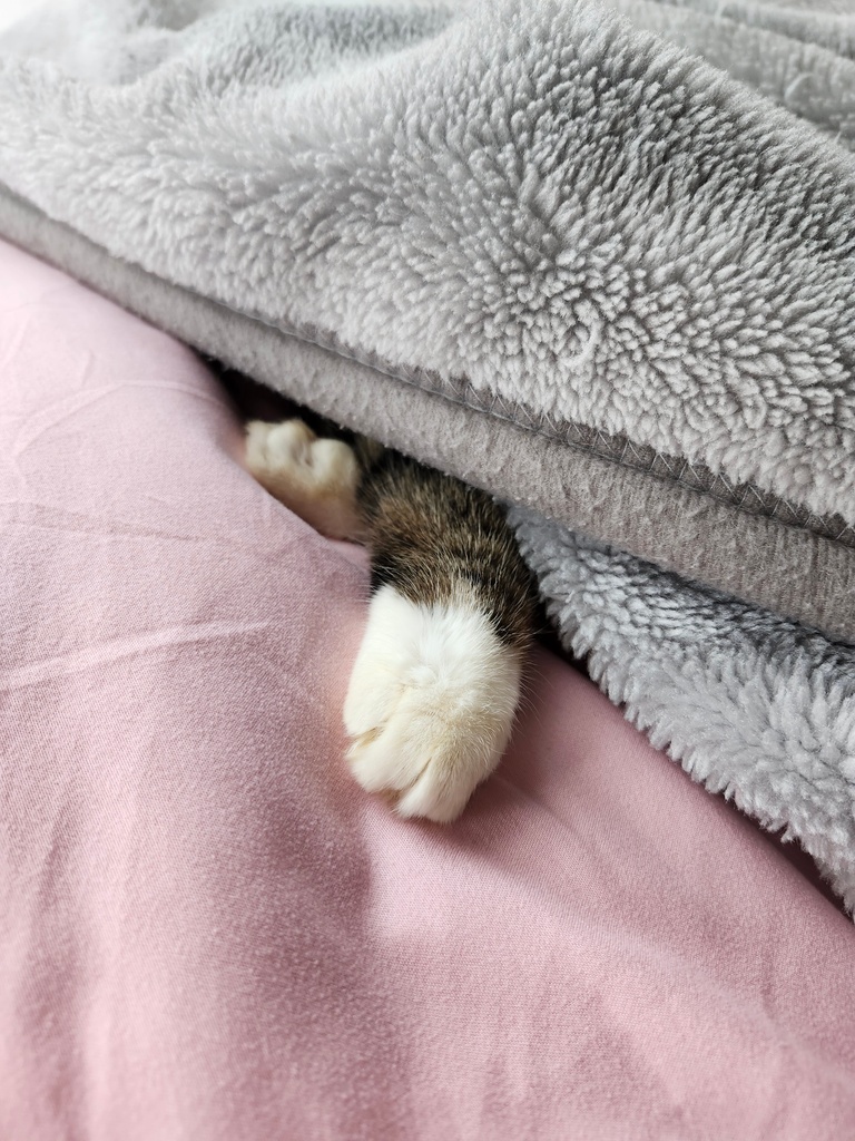 ろあ