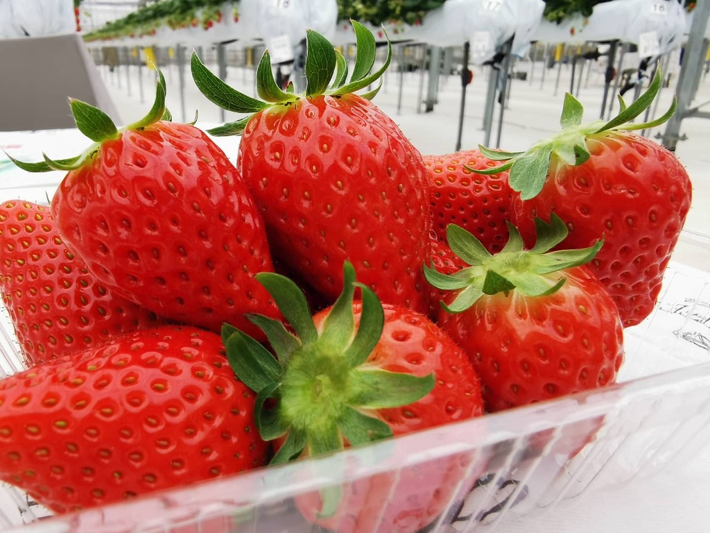 ずずず🍓𓈒𓏸