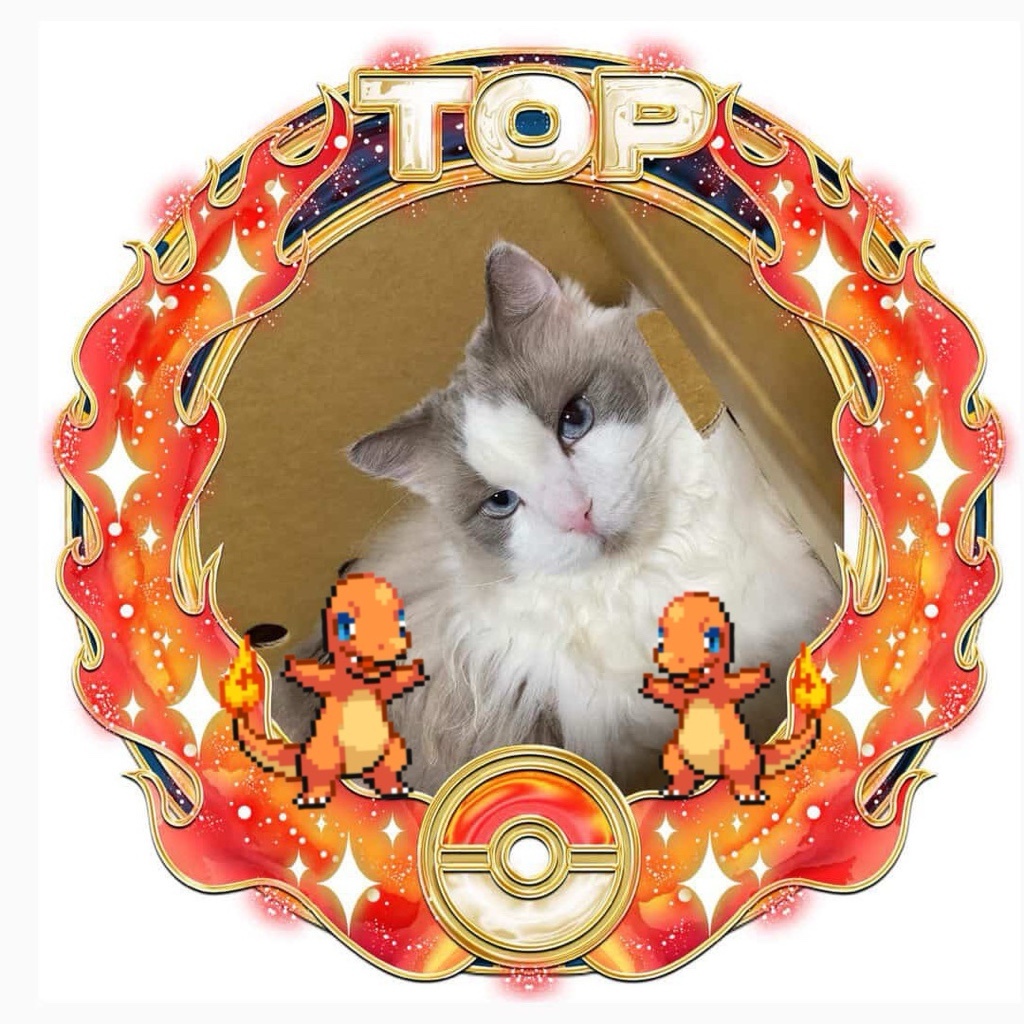 🩵🎸江口一歩🩵🎸和田星瑠神推し🩵🎸