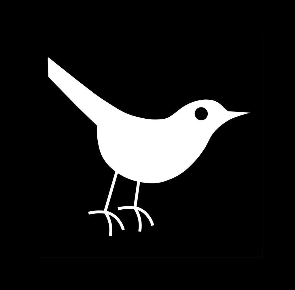 智子(藍)
