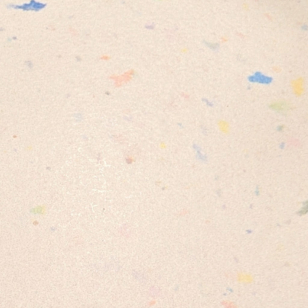 カモノハシ