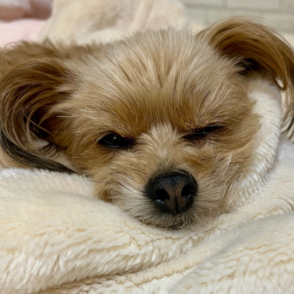 ララ🍒🕊️🏸加藤翔くん📣