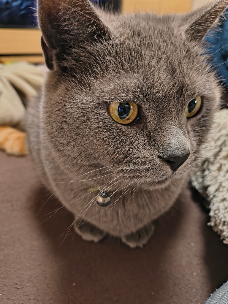 mi
