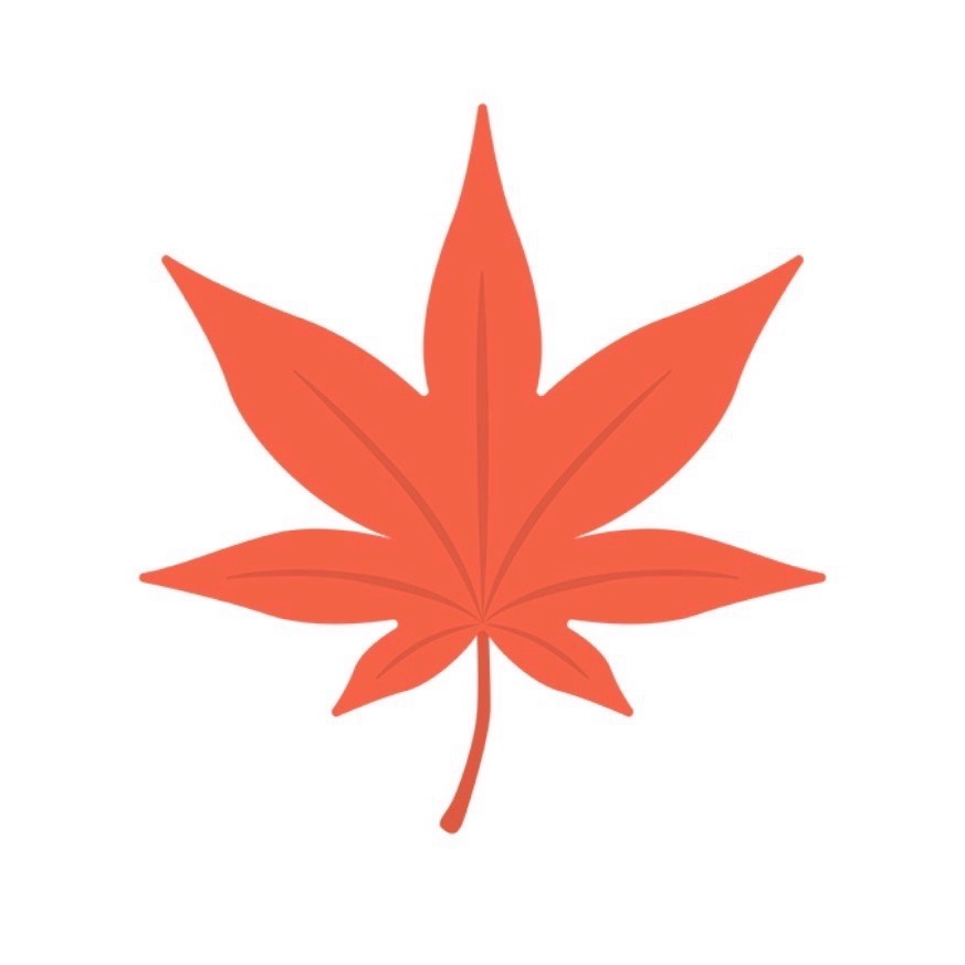 mapleちゃん⭐️