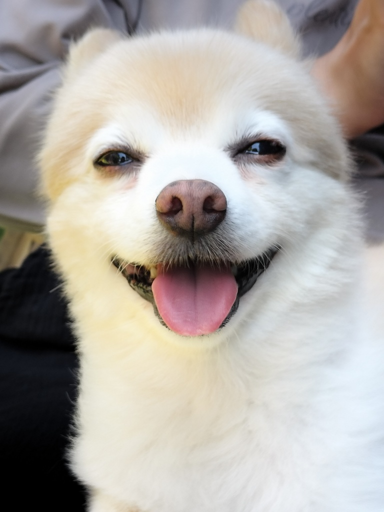 なっこ