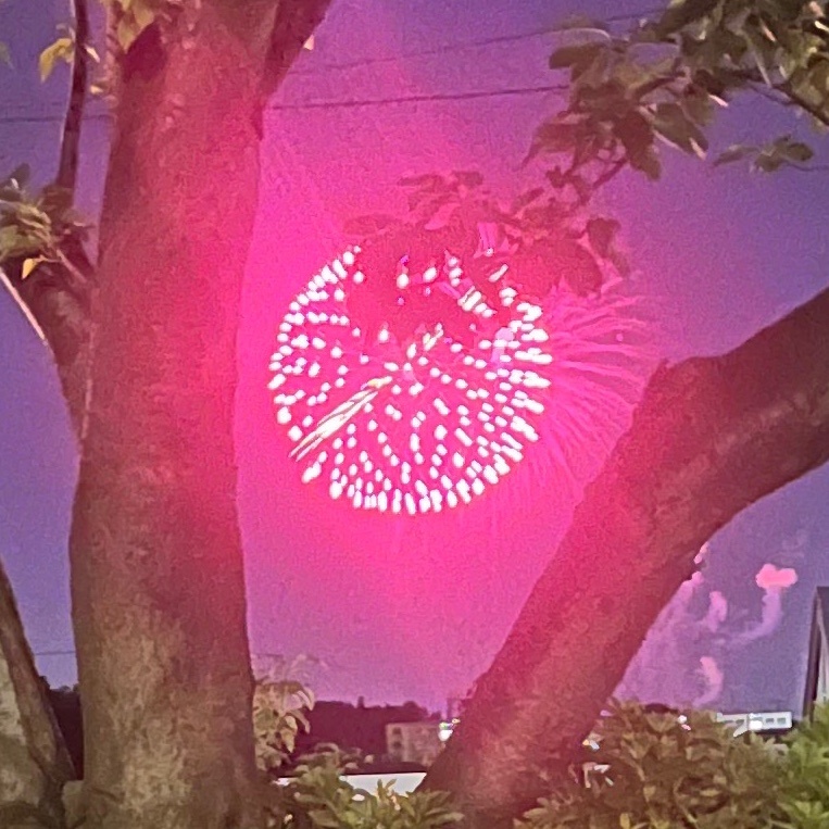 ゆま