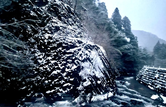Takara