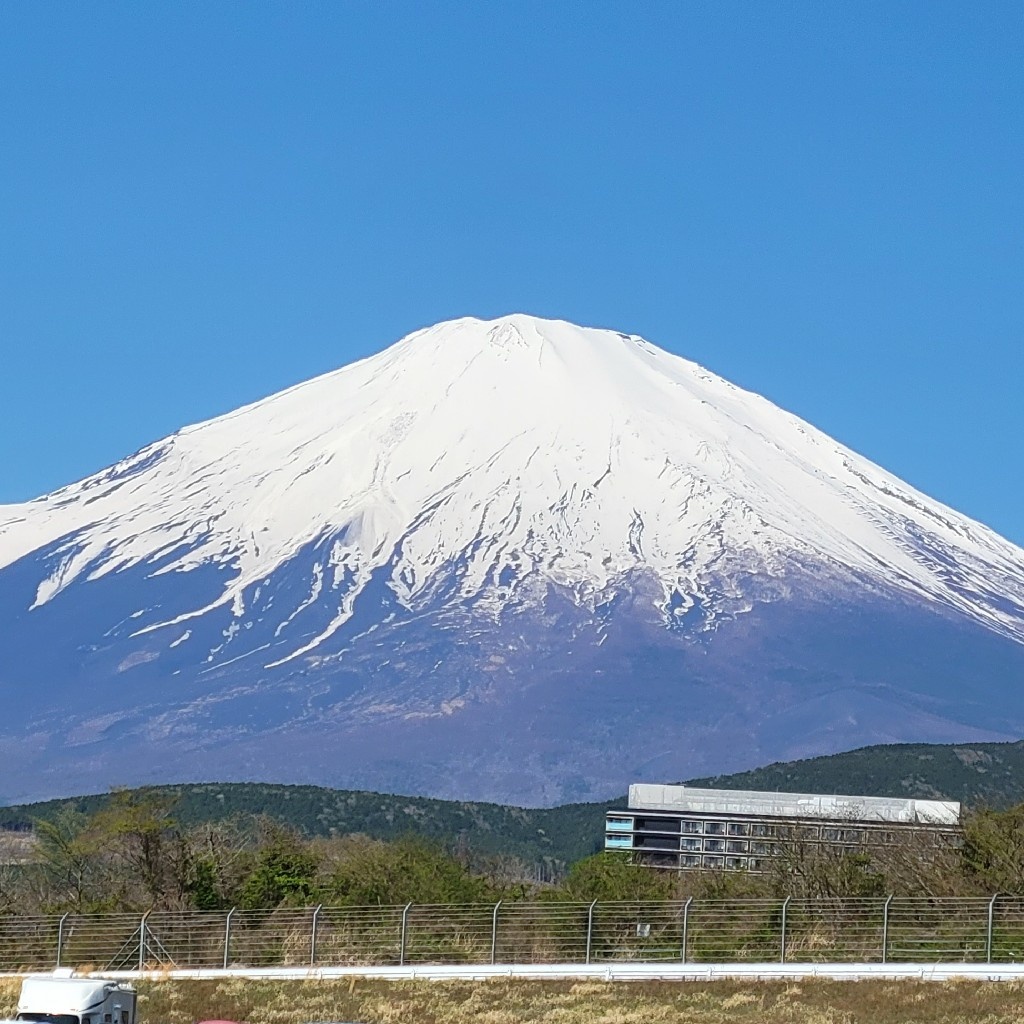こぐま