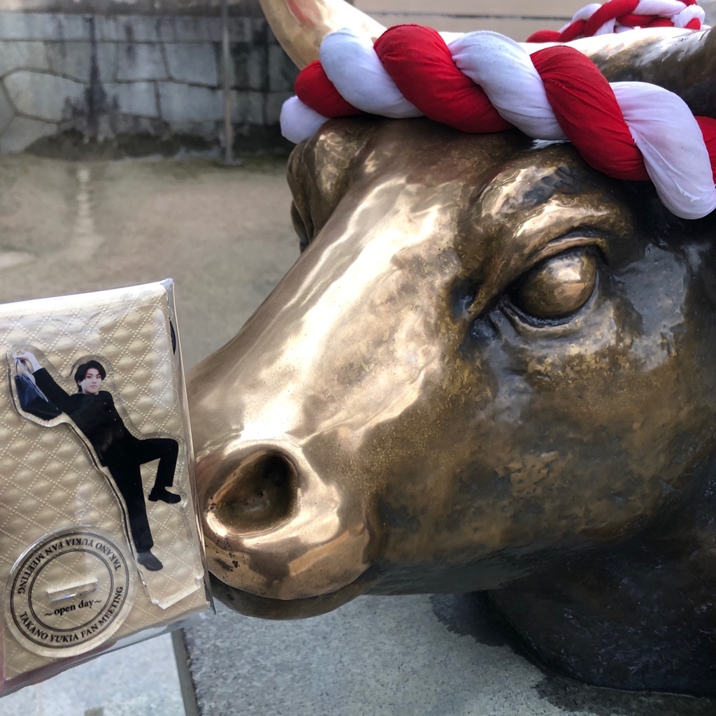 🐂
